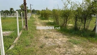Tôi cần bán lô đất có hàng rào vườn cây ao cá thuận tiện đi các tỉnh