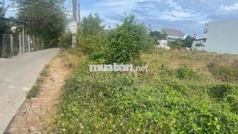 đấtgiá đẹp cần tìm chủ mới đường Tết mậu thân Gò Công Tiền Giang 115m2