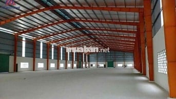 Cho thuê kho diện tích khủng 500m2 Mặt tiền đường lớn Lý Thường Kiệt P