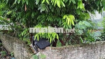 Bán đất tại Xuân Phương, nhỉnh 9 tỷ, 50m2, pháp lý đầy đủ, mặt tiền 4m