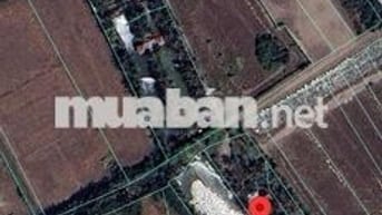 Bán 2 miếng đất mặt đường Phạm Thái Bường, Phước Khánh, Nhơn Trạch, ĐN