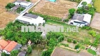 Quá đẹp, 135m2 đất thổ cư 5x 27m đường nguyễn văn ánh chỉ 650tr