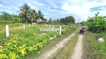 380tr CÓ NGAY 123MV THỔ CƯ ,ÔTÔ ĐẬU NGAY ĐẤT, TÂN TRỤ LONG AN