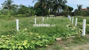 dt:123mv thổ , giá : 380tr , xã quê mỹ thạnh - tân trụ - long an