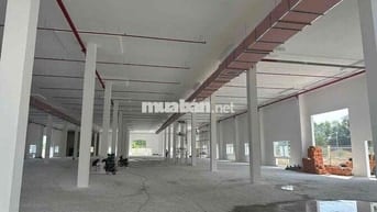 giới thiệu:   CHO THUÊ NHÀ XƯỞNG TẠI các KCN BÌNH PHƯỚC