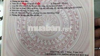 Chính chủ bán gấp lô đất 2 MT Đ.QL50 Tân Trung Gò Công Tiền Giang