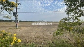Đất có gần khu công nghiệp Trần Đề, gần siêu cảng quốc tế Trần Đề