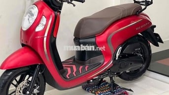 scoopy 2024