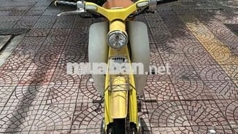 cub cổ 50c 2022 dep vĩnh long