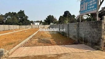 CC BÁN 167,8M ĐƯỜNG THÔNG ÔTÔ TRÁNH Giá 3,86tỷ HÒA TRÚC XÃ PHÚ CÁT HN