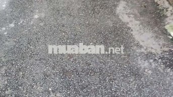 Nhà 21m2 2 phòng ngủ 1 WC đường Bùi Đình Tuý , Q, Bình Thạnh