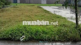 Đất 15 x 59 (896m2) đường nhựa thông,gần ngã 3 Mỹ Hạnh