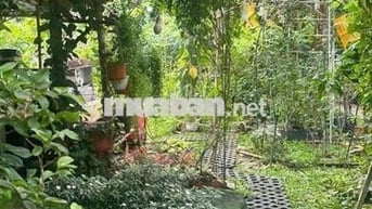 không có lô thứ 2 bán đất dt 400 m ngang 11 m giá 16,2 tr / m