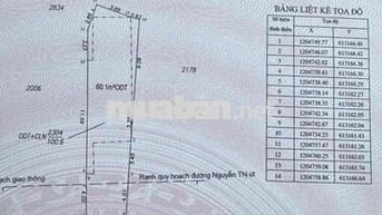 chính chủ bán lô đất mặt tiền đường cách siêu thị go 500m,thương lượng