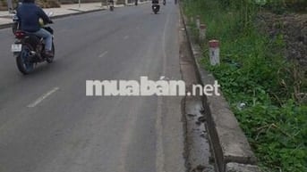 Bán 5000m2 Mặt Tiền qlo91b ngang 48m giá 4.9tr/m2 có bán lẻ