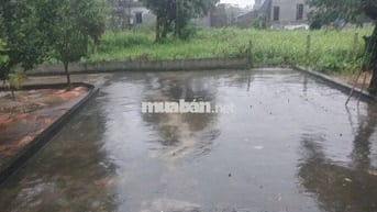 Đất sổ đỏ ~750m2 chính chủ Ý Yên