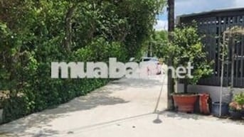 🏡 2 LÔ LIỀN KỀ ĐẤT AN THẠNH – 5x45m
