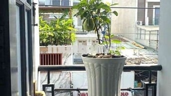 Nhà Mặt Tiền Bắc Hải,3 Tầng,Full NT,GĐ ở, SV Ghép, Kinh Doanh Đa Ngành