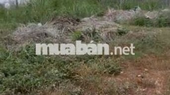 🍀🍀🍀 BÁN LÔ ĐẤT THÔN VÕ CẠNH - VĨNH TRUNG THUỘC PHƯỜNG TÂY NHA TRANG