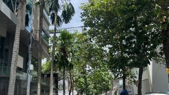Đất nền KDC An Phú – An Khánh , đường nội bộ thông thoáng 