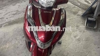 lead cọp 2024 nhà dùng it di