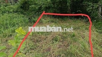 Cần tiền gấp bán rẻ miếng đất không sử dụng