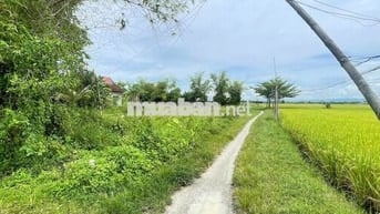 Bán lô đất đẹp chính chủ.Thăng Bình, Đà Nẵng. 280m ngang 10, 450 triệu