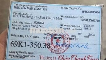 Vison 2020 chính chủ