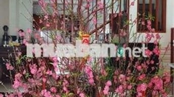 Chính chủ cho thuê nhà nguyên căn 2 mặt tiền, 3 tầng