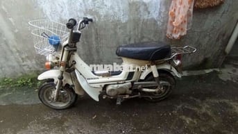 Xe chaly 50