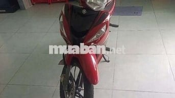 Xe gia đình