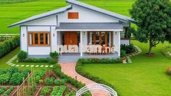 Chính chủ bán 545m2 đất lúa sổ riêng cách biển 5km