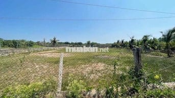 Đất Nhà Bè khu dân cư hiện hữu
