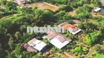 Hàng thơm 150m2 đất thổ view kênh cực đẹp chỉ 420tr