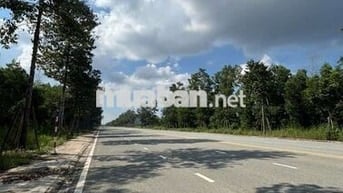 🏡 Đất Full Thổ Cư 150m² Ngay ĐH Thủ Dầu 1 – Mặt Tiền Nhựa 22,5m