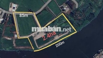 Lô đất view Sông Vàm Cỏ ngang 200m + mặt tiền nhựa 85m