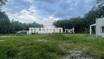 ĐẤT LAI HƯNG 85, GIÁ CHỈ 12,5tỷ, RẺ NHẤT BÀU BÀNG