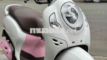Scopy 11/2020 BsTp ngay chủ chứng giấy sang tên