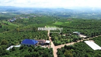 View săn mây, view toàn cảnh thành phố và sân bay Lâm Đồng chi 4xx