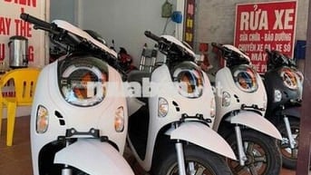 Scoopy nhập indo neww 100%