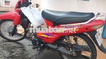 Wave 100 có giấy