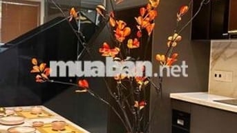 Bán nhà Bùi Công Trừng mới 100%