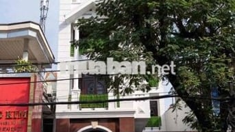 SIÊU PHẨM TOÀ VĂN PHÒNG - DTSD hơn 500m2 - 39 Trương Công Định , TB