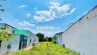 🏡 BÁN ĐẤT ĐẸP ĐƯỜNG HUỲNH THỊ MÀI – TÂN HIỆP, HÓC MÔN 🏡