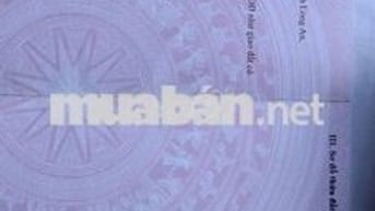 Đất sổ đỏ 109m2 cách mặt tiền đường 200m tại huyện Cần Giuộc, Long An