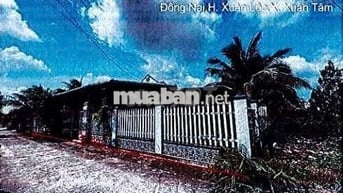 Bán ĐGTS đất tại xã Xuân Hòa, tỉnh Đồng Nai