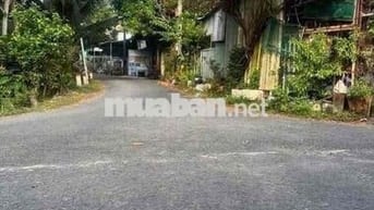 NHÀ ĐƯỜNG NHỰA ÔTÔ PHƯỜNG 8, TP. VĨNH LONG. quá rẻ