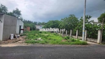 Bán lô đất 2 mặt tiền siêu đẹp sát Chợ Bông Trang , đường nhựa thông