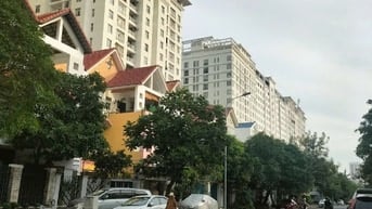 Cho thuê biệt thự KDC Him lam 6A, 8x20 3 lầu, 40tr Ms Viêm 0938971212