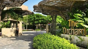 THE ORCHARD SYCAMORE – KIỆT TÁC SỐNG XANH GIỮA LÒNG THÀNH PHỐ MỚI